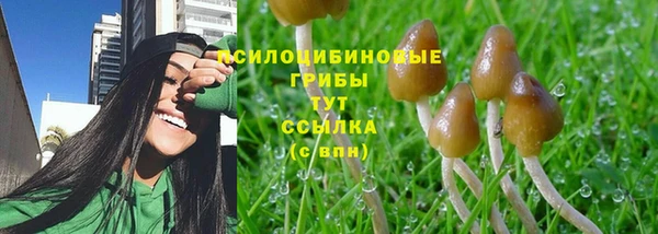 марки nbome Алзамай