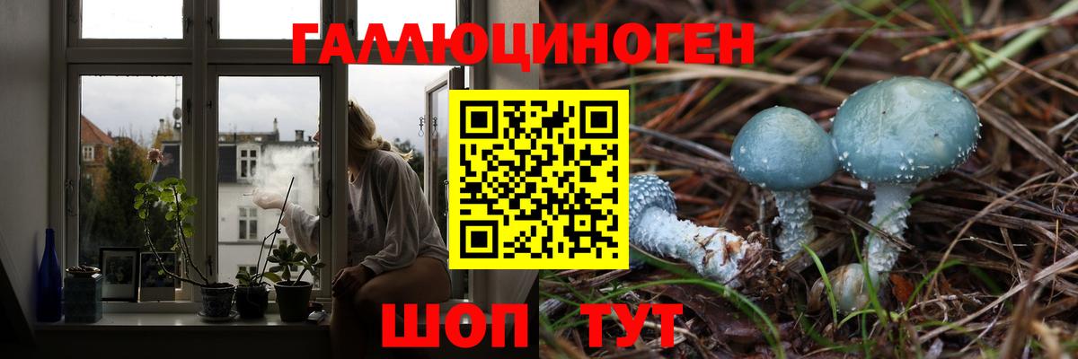 Псилоцибиновые грибы Cubensis Лянтор