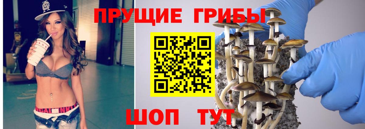 где найти   Псилоцибиновые грибы ЛСД  Вход с VPN  Лянтор 