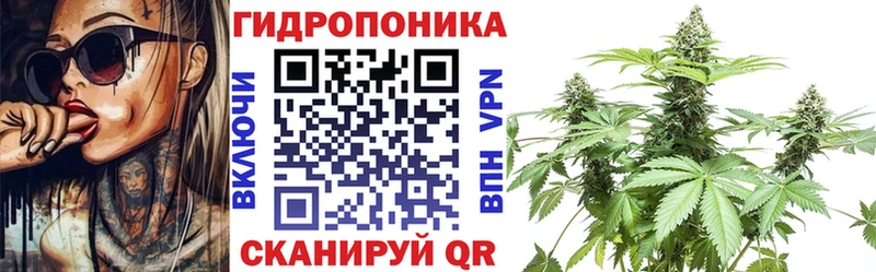 Канабис семена Лянтор